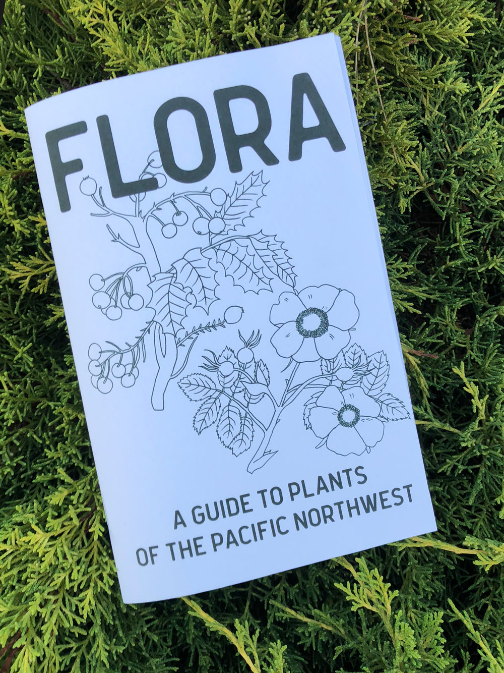 Fall 2018 - New Zines!