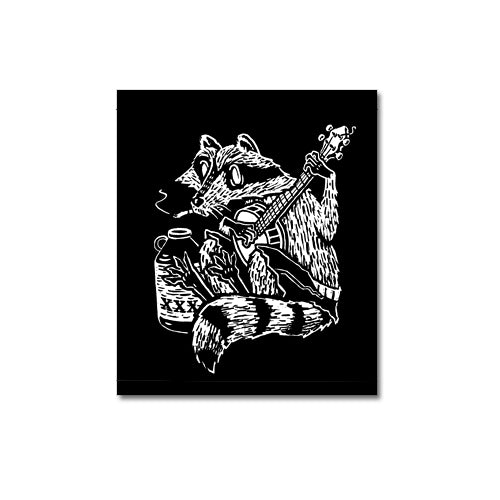 Raccoon with Banjo patch